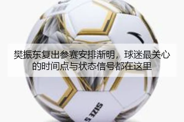 樊振东复出参赛安排渐明，球迷最关心的时间点与状态信号都在这里